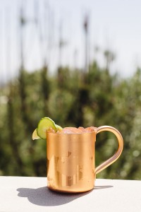 Bar 41™ Moscow Mule        